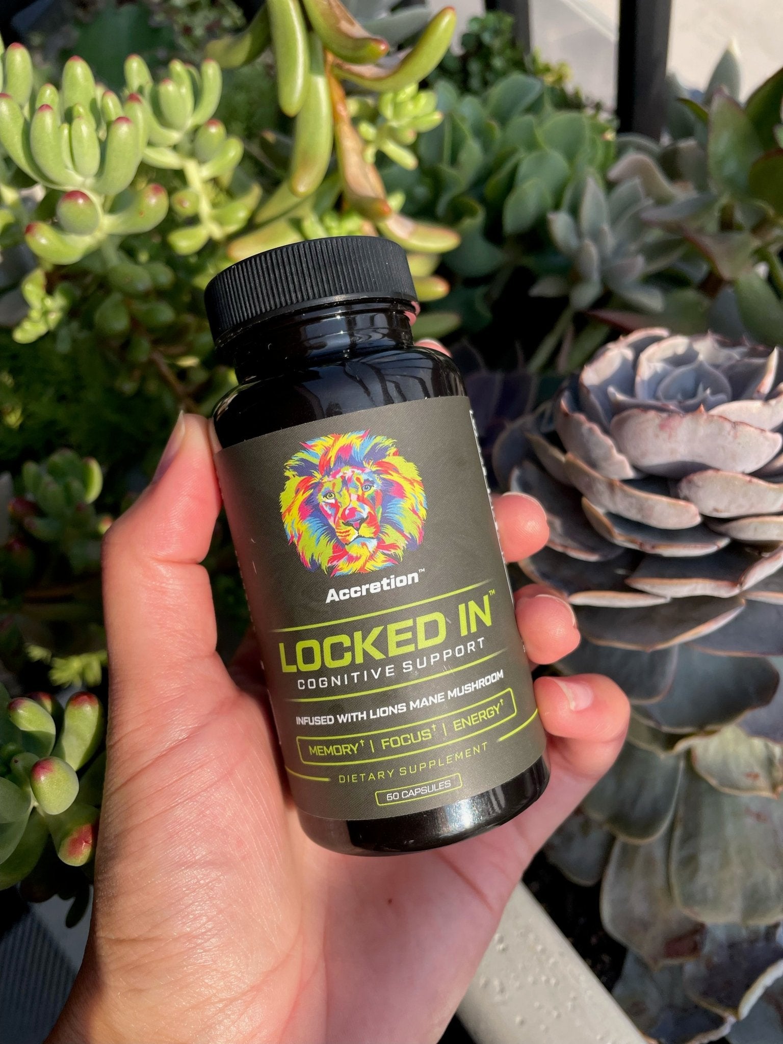 LOCKED IN™ - Accretion Store